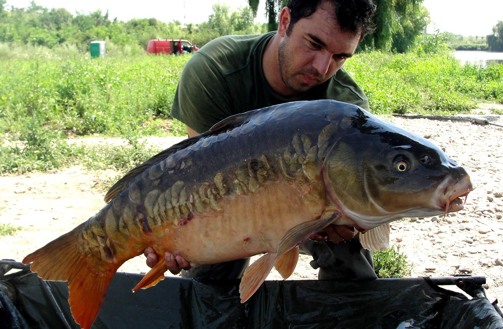 Hermes Peris 25 - 26 iulie 2014 - dsc04151.JPG